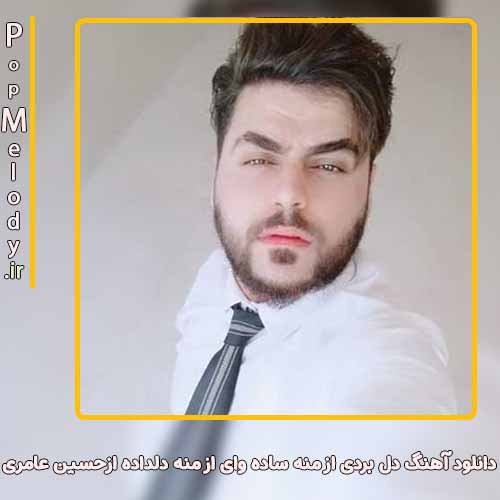 دانلود آهنگ حسین عامری دل بردی از من ساده وای از من دلداده